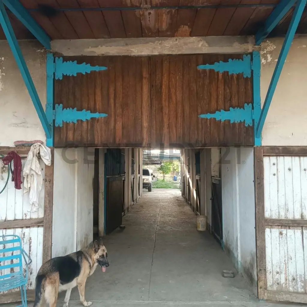 FINCA EN VENTA TURAGUA EDO ARAGUA 10HA TC - 18
