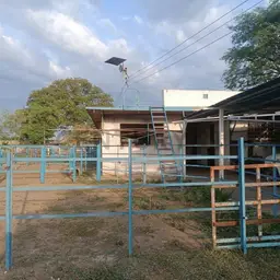 Vista 19