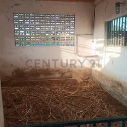 Vista 20