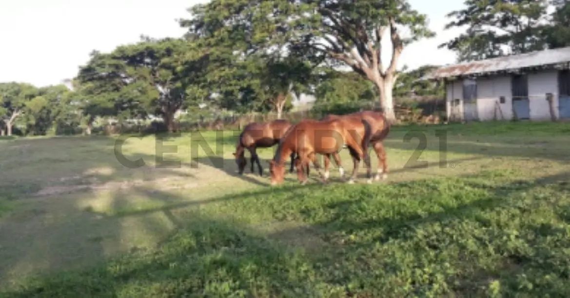 FINCA EN VENTA TURAGUA EDO ARAGUA 10HA TC - 2