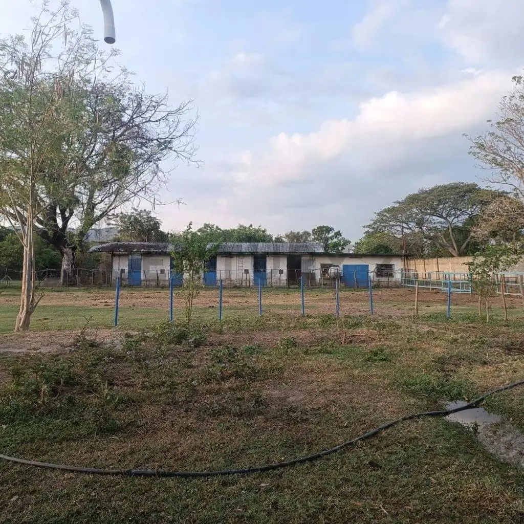 FINCA EN VENTA TURAGUA EDO ARAGUA 10HA TC - 21