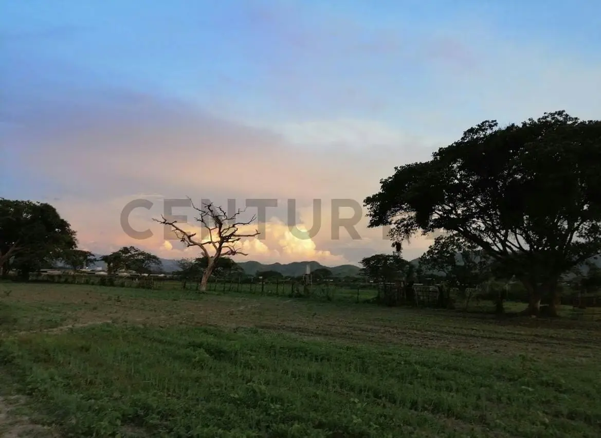 FINCA EN VENTA TURAGUA EDO ARAGUA 10HA TC - 23