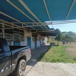 Vista 4