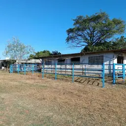 Vista 6