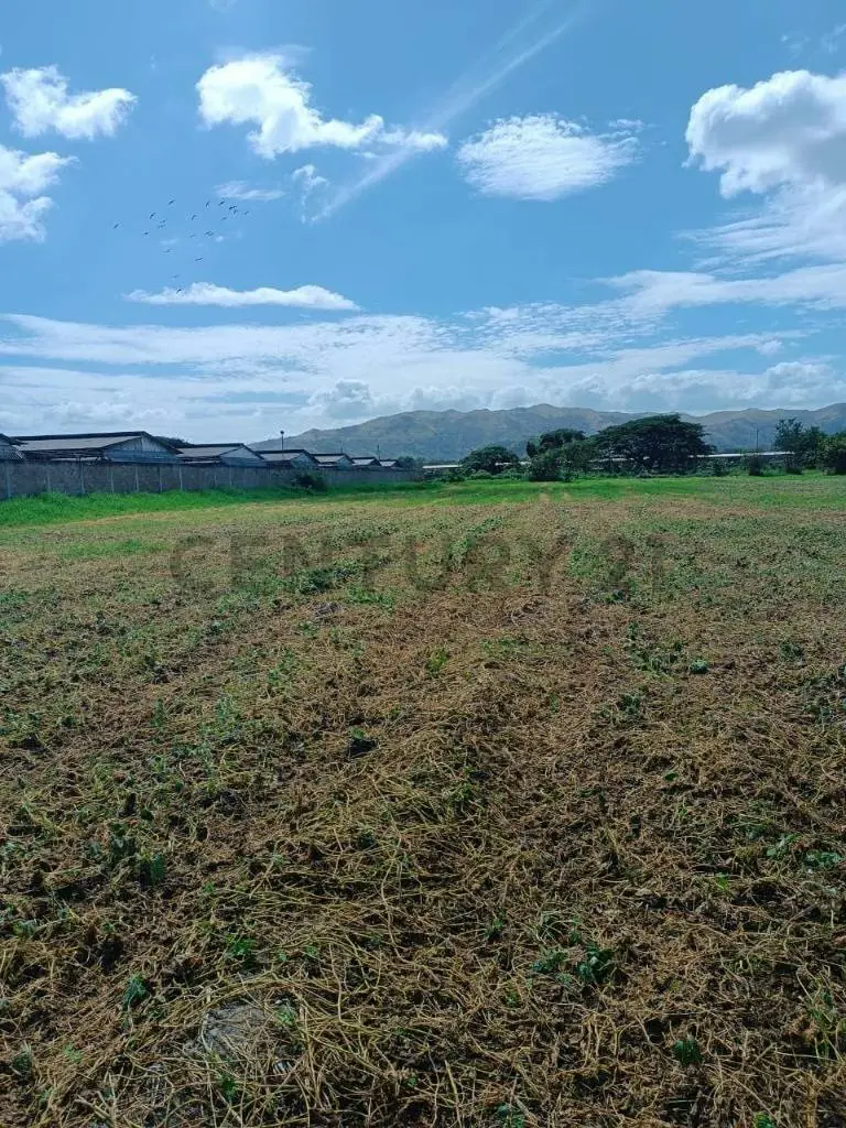 FINCA EN VENTA TURAGUA EDO ARAGUA 10HA TC - 7