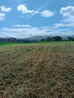 Vista 7