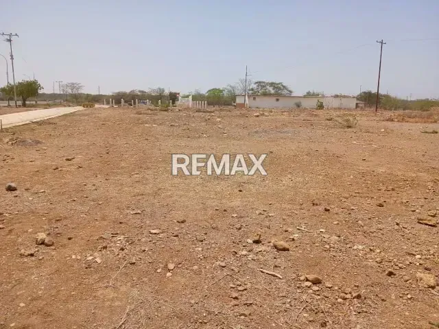 Se vende Amplio terreno ideal para proyecto de inversión Coro Edo. Falcón - 2