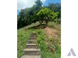 Vista 43