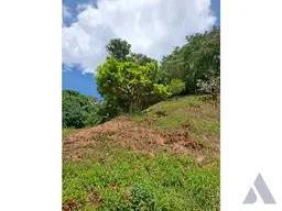 Vista 45