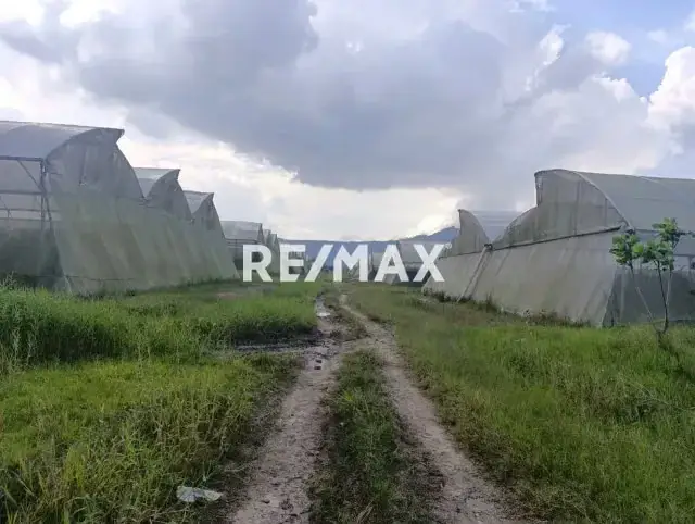 Finca Agrícola Operativa en Venta