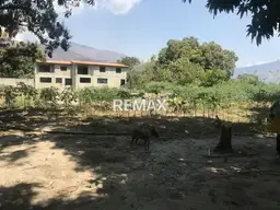 View 11