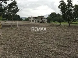 View 15