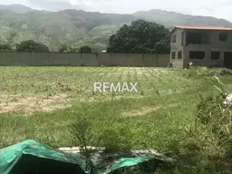 View 7