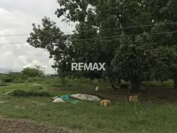 View 8