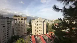 Vista 14