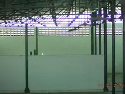 Vista 19