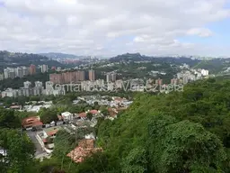 Vista 11