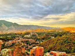 Vista 19