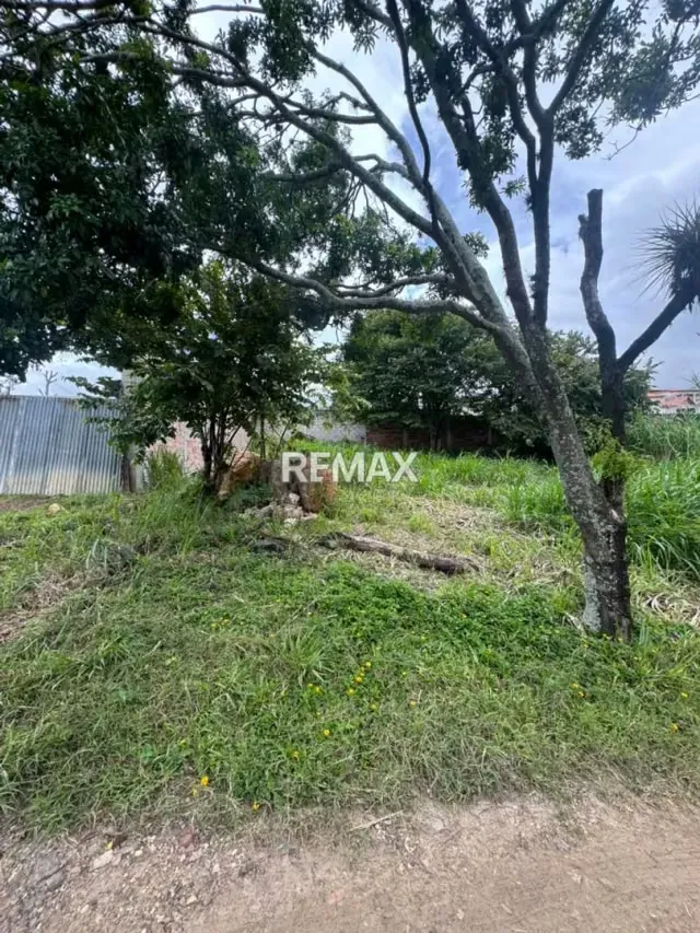 EN VENTA TERRENO EN EL DIAMANTE TARIBA - 2