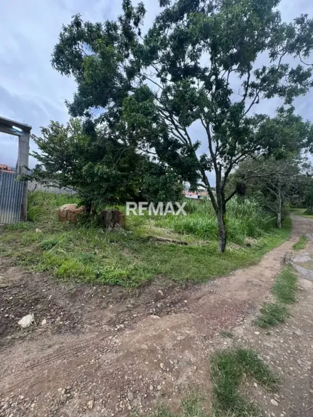 EN VENTA TERRENO EN EL DIAMANTE TARIBA - 3