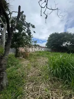 View 5