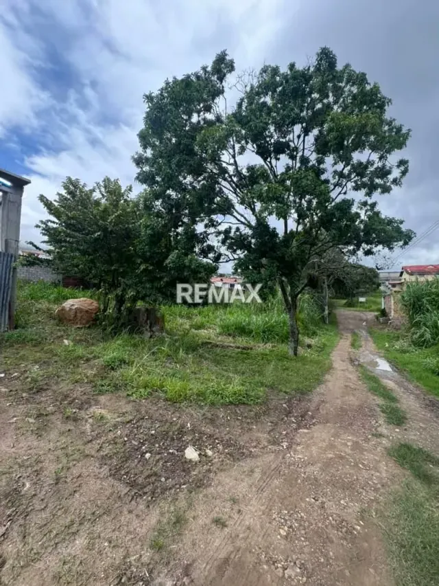 EN VENTA TERRENO EN EL DIAMANTE TARIBA - 6
