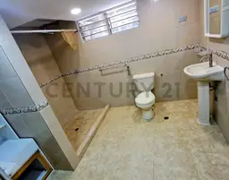 Vista 19