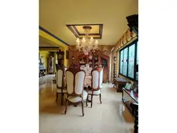 Vista 5