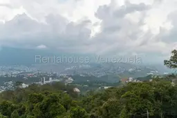 Vista 36