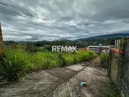 View 6