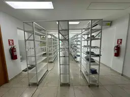 Vista 19