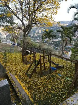 View 31