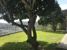View 33