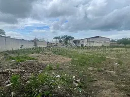 View 29