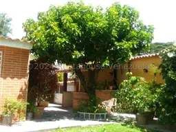 Vista 39