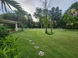 Vista 46