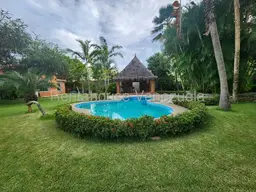 Vista 5