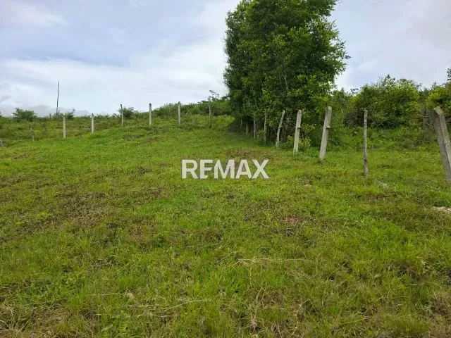 VENTA EN EXCLUSIVA ESPECTACULAR TERRENO SECTOR EN LA HACIENDA PERIBECA - 3