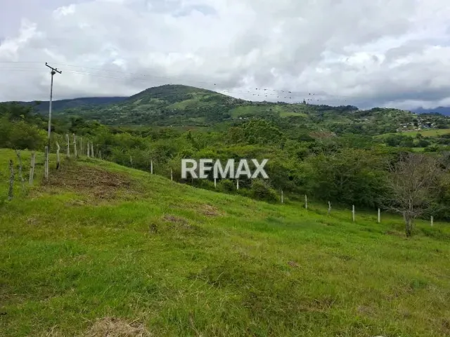 VENTA EN EXCLUSIVA ESPECTACULAR TERRENO SECTOR EN LA HACIENDA PERIBECA - 4