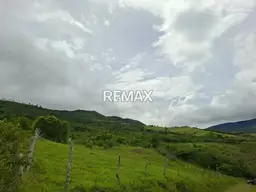 Vista 5