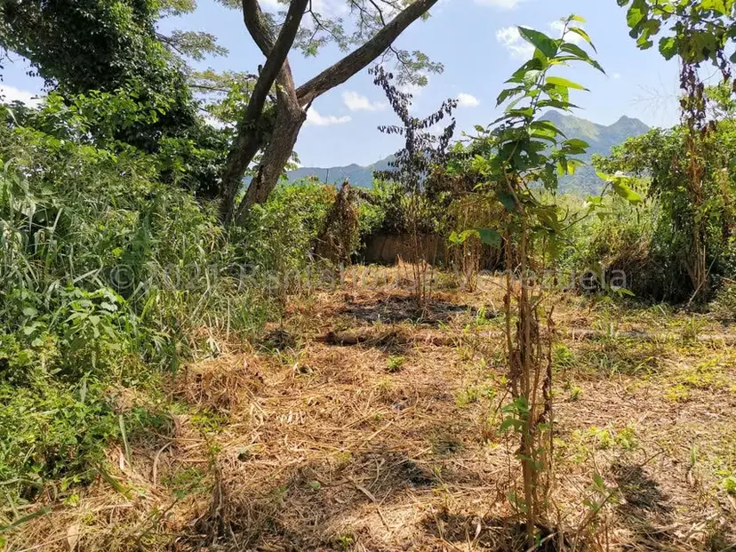 Terreno (Comercial) en Venta en Pueblo de San Diego, Carabobo