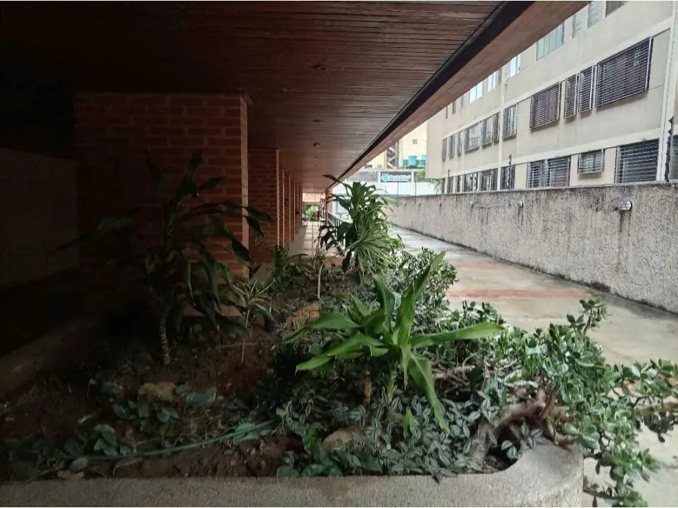 Alquiler Apartamento en Los Palos Grandes - 6