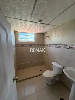 Vista 4