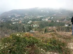 View 7