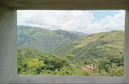 Vista 11