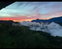 Vista 13
