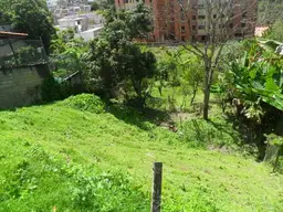 View 12