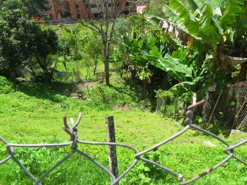 Terreno (Comercial) en Venta en La Union, Distrito Metropolitano - 13