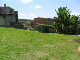 View 16