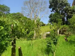 View 17